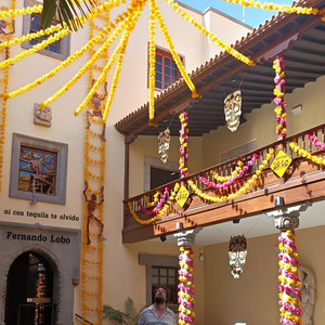 Ni con tequila te olvido