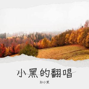 无法长大 - 孙小黑封面