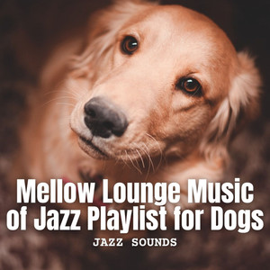 Pawsome Serenade in the Mellow Lounge