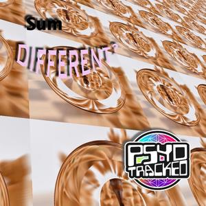 Sum Different? (Extended)