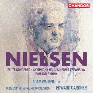 Nielsen: Flute Concerto, FS 119: II. Allegretto, un poco