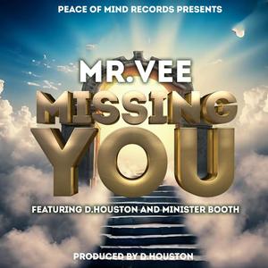 Missing You (feat. D.Houston & Minister Booth) [Explicit]