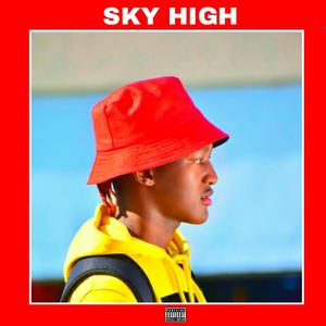 Sky High(feat. Doc Sheyz & Lyan) (Explicit)