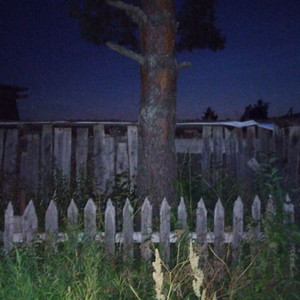 fever dream (Alternative Version)