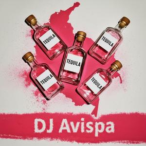 DJ Avispa - Twenty