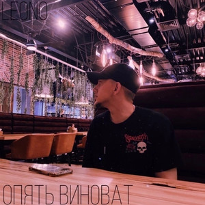 Опять виноват