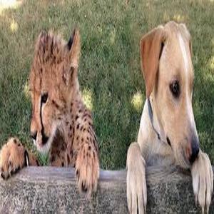 try again (feat. yuke) (Explicit)