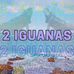 2 IGUANAS (Explicit)