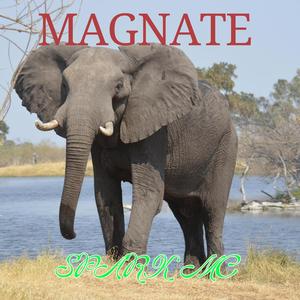 Magnate