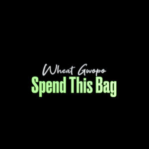 Spend This Bag (Explicit)