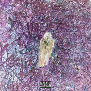 Insomnia (feat. Dxynemills & JayRichie) (Explicit)