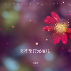 哥不想打光棍儿