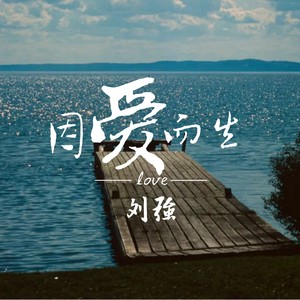 那年的你