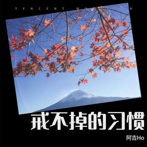 戒不掉的习惯