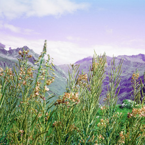 White Circle Canteen (Krikor Emotional Remix)