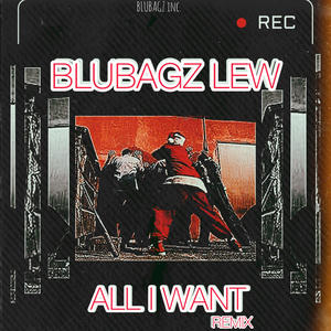 ALL I WANT REMIX (Explicit)