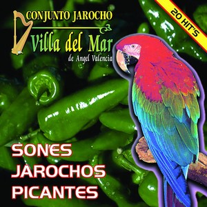 Sones Jarochos Picantes