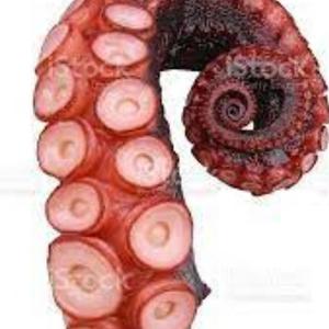 Cypher Cerveau(feat. Sixtape, Jordan Sudsika, Akashi_A2S, Senor el kalif, Tomy le merluchon, Rackam, ApointZ & Fhat-R)