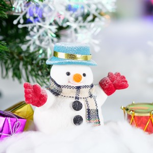 We Wish You a Merry Christmas