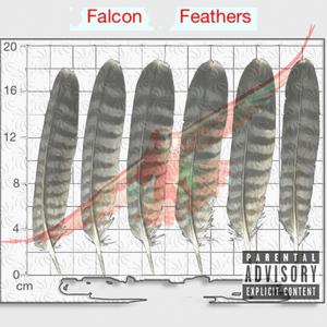 Falcon Feathers (Explicit)