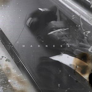 MADNESS (feat. Babi Lou) (Explicit)