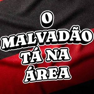 O Malvadão Tá Na Área (Urubu House Mix)