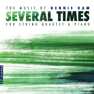 Dennis Kam: Several Times