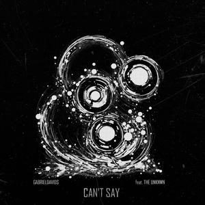 Can't Say (feat. The Unknwn) [Explicit]