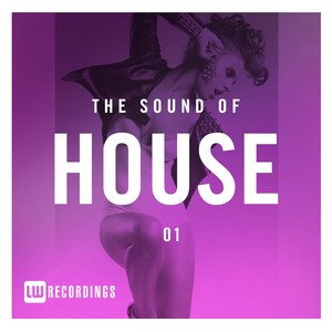 The Sound Of House, Vol. 01