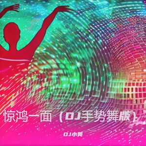 惊鸿一面 (DJ手势舞版)