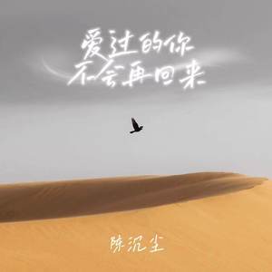 爱过的你不会再回来