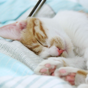 小宝贝快快睡 (Live)