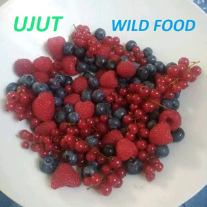 Wild Food (Explicit)