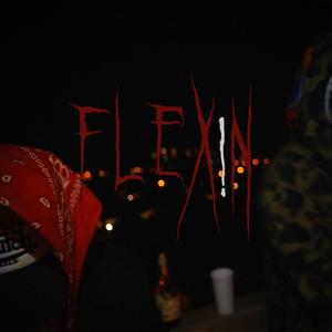 FLEXiN (Explicit)