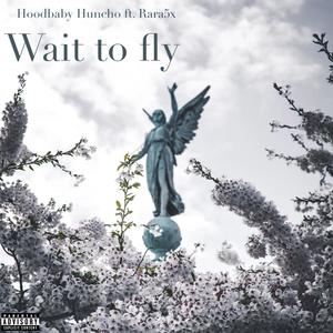 Wait to fly (feat. Rara5x) [Explicit]