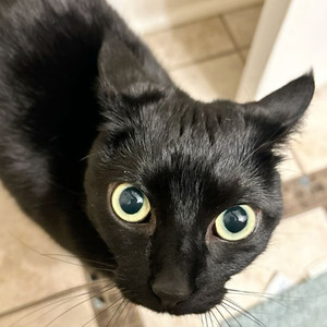 Practice 2 (Explicit)