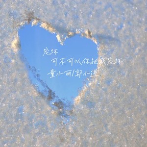 宠坏 (郭小进|童小丽 remix)