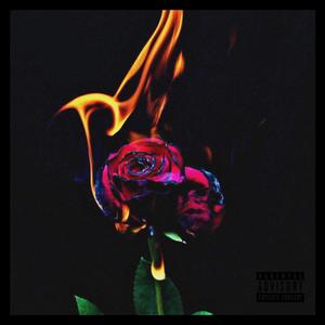 Burning Roses (Explicit)