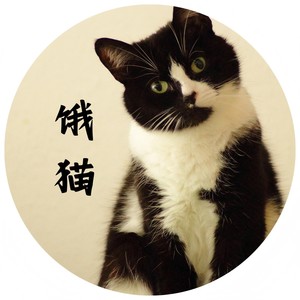 饿猫