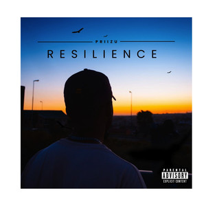 Resilience (Explicit)