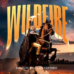 Feel The Fire (feat. Henrisoul)