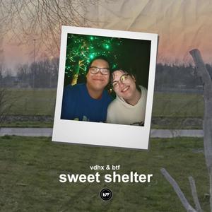 sweet shelter