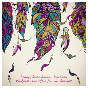 Woodpeckers Love Affair (Sascha Braemer Remix)