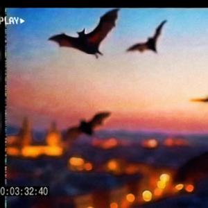 Otro trato (feat. EOG) (Explicit)