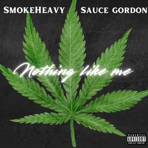 Nothing like me (feat. Sauce Gordon) (Explicit)