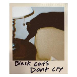 Baby Blanket (feat. lamb spit)