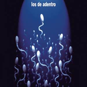 Una Cancion (Album Version)