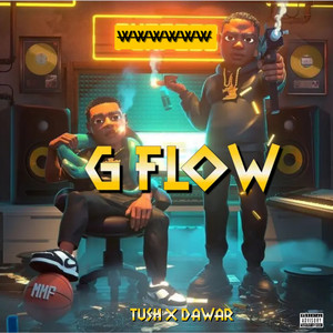 G Flow (Explicit)