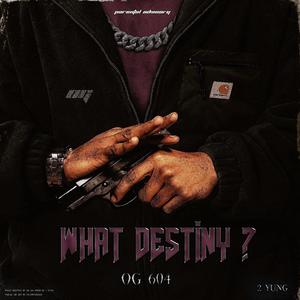 What Destiny ? (feat. 2YUNG) [Explicit]