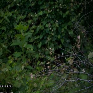 Defeating me (Explicit)